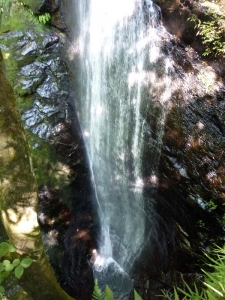 蜻蛉の滝中
