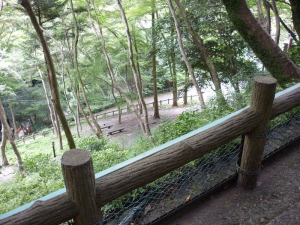 箕面の滝途中2