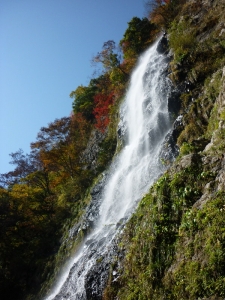 天滝4