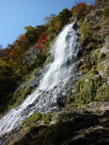 天滝7