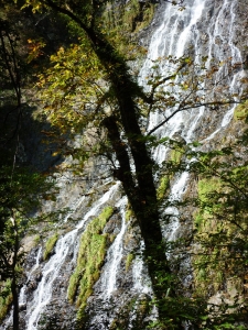 天滝8