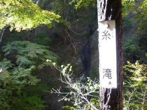 糸滝