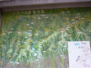 案内看板