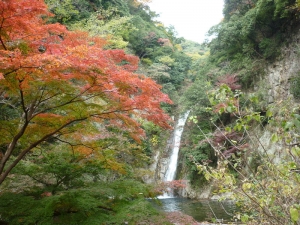 布引の滝雌滝