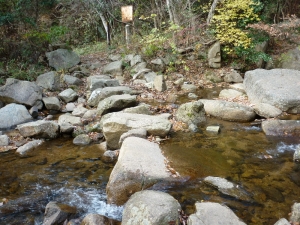徳川道4
