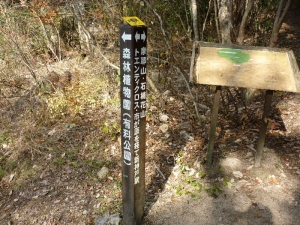 森林植物園