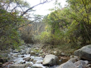 徳川道2