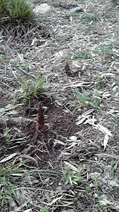 2010031616520001.jpg