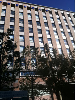 帝京平成大学
