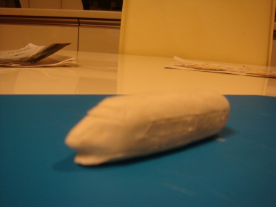 DSC08546.JPG