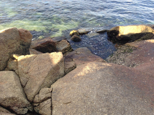 沙弥島デイキャンプ