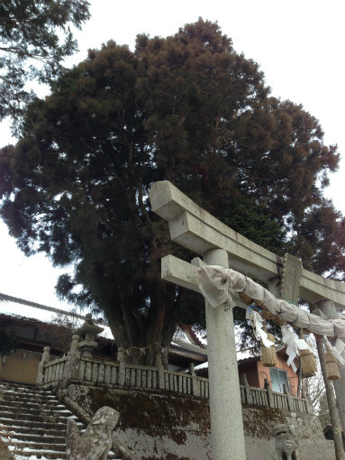 大川神社