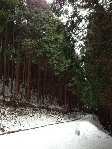 冬の大川山