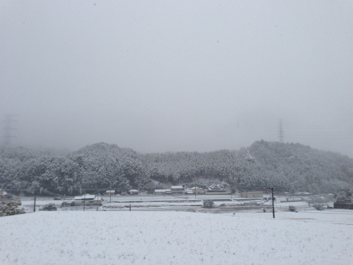 雪