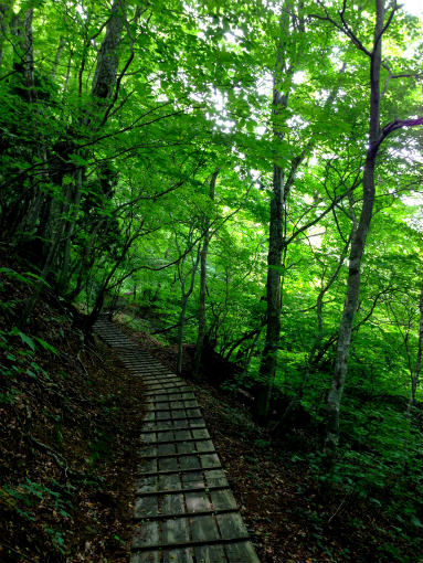 大川山県営キャンプ場