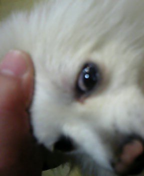 20051218_87902.jpg