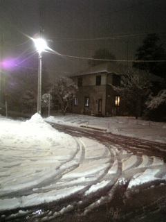 20060121_108466.jpg