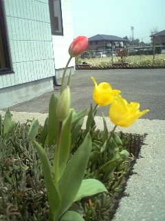 20060418_164086.jpg