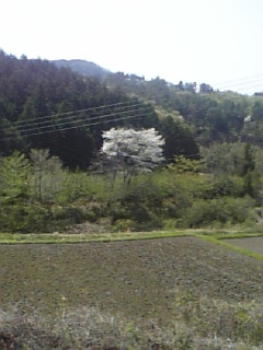 20060504_173795.jpg