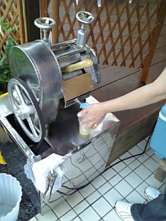 20060616_200285.jpg