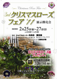 クリスマスローズ展案内