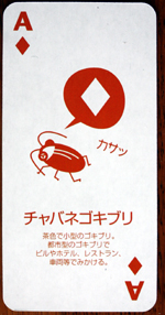 ダイヤのエース