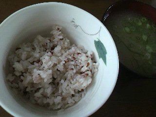 P1000454.jpg
