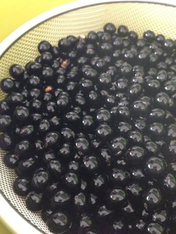 黒豆茶