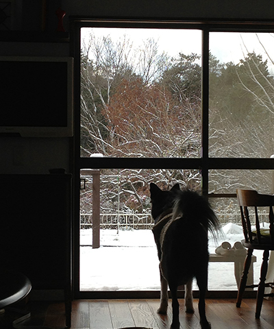 雪