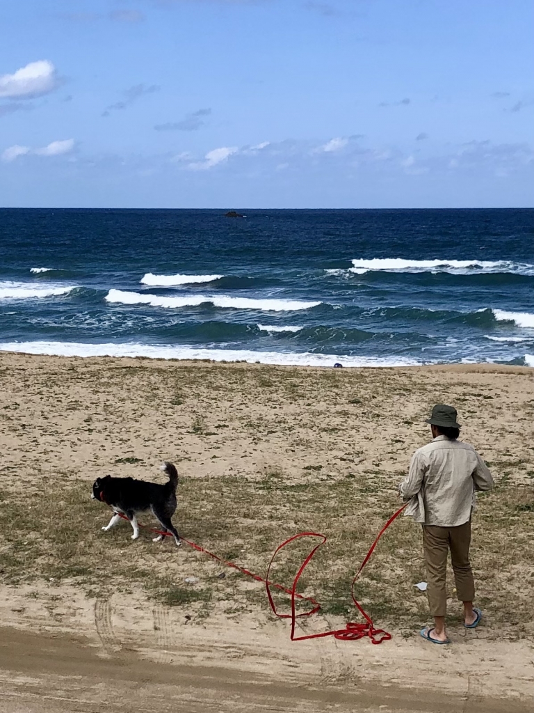 日本海