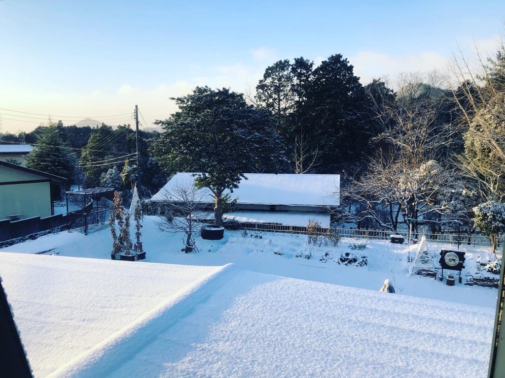 猪名川町の雪