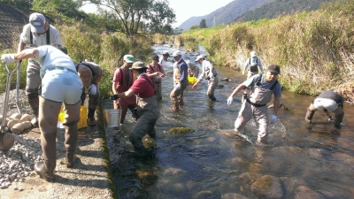 2015産卵床2.jpg