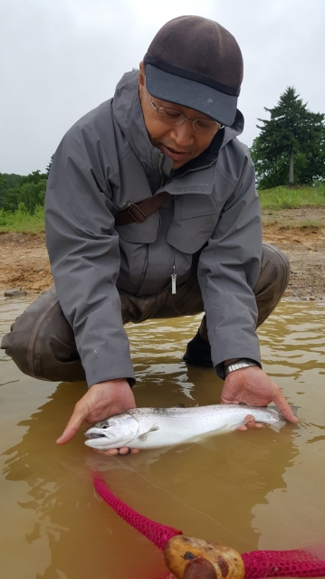 20180701_180144.jpg