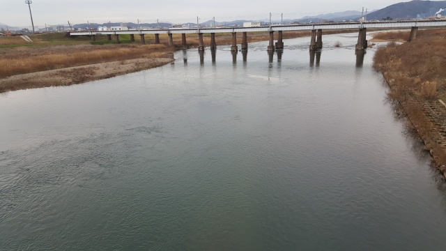 49.九頭竜橋下流.jpg