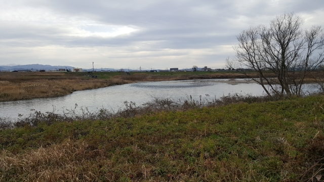 44.森田小前右岸ミドル~テール.jpg