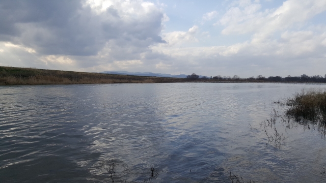 17.水道局右岸テール.jpg