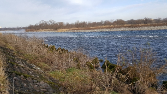 18.水道局左岸ヘッド.jpg