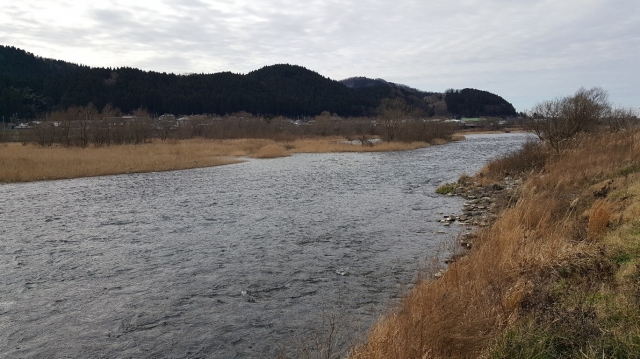 2.オフサイド右岸下流.jpg
