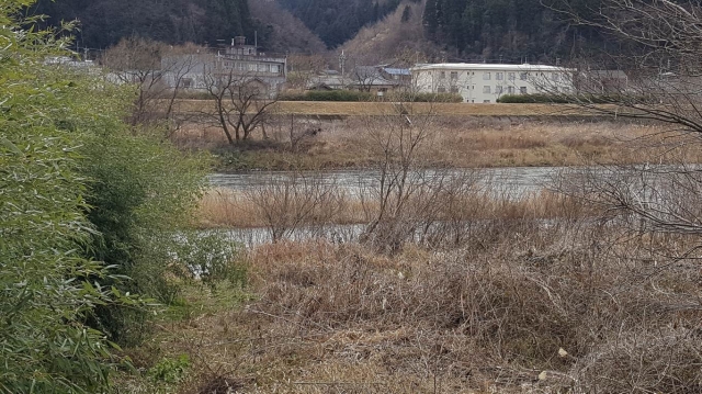 4.ハタヤ前右岸.jpg