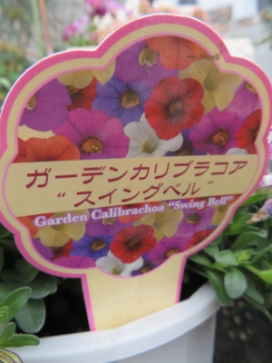春のお花入荷してます～ | H a n a G o k o r o ﾊ ﾅ ｺﾞ ｺ ﾛ