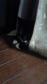 150820_223233.jpg