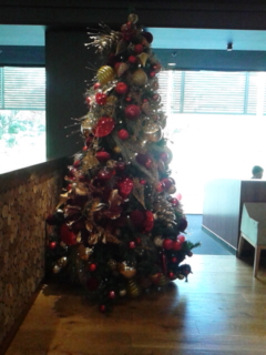 151204_125143.jpg