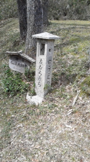 160329_114756.jpg