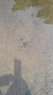 160329_123300.jpg