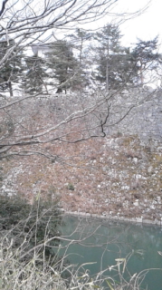 160329_152843.jpg