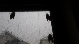 160822_102730.jpg