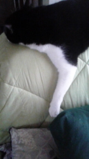 160828_084502.jpg