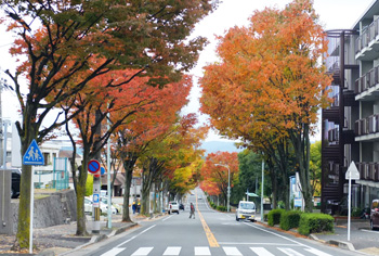 2013紅葉.JPG