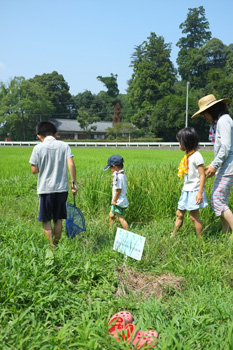 この指教室ブログ用4.jpg