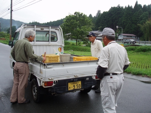 P6220024 (500x375).jpg